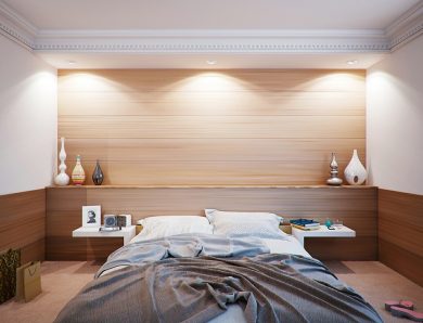 Quand faire appel au service de lutte contre les punaises de lit à Paris ?